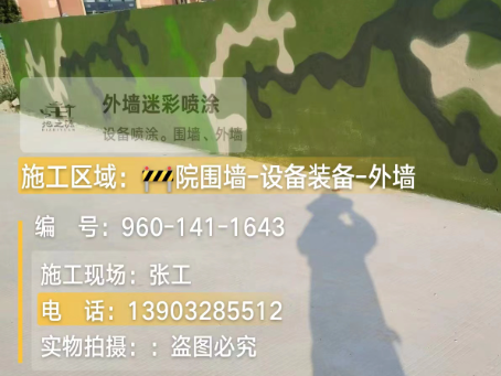 新疆 迷彩漆喷涂价格（按平方米计费）